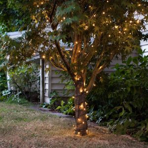 Battery Operated Lights | 200 Warm White LED Outdoor Battery Fairy Lights On Green Cable Battery Operated Lights Battery Operated Lights