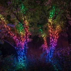 Garden Lights | 20m 250 LED Twinkly Smart App Controlled String Lights Multi Coloured & White Edition Garden Lights Garden Lights