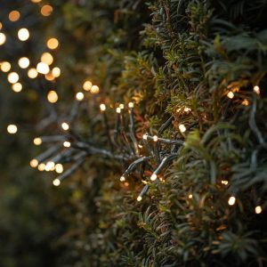 Garden Lights | 7m Solar Cluster Lights Garden Lights Garden Lights