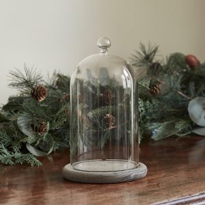 Glass Domes | 20.5cm Glass Dome Bell Jar With Grey Base Glass Domes Glass Domes