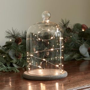 Glass Domes | 23cm Glass Dome Bell Jar Micro Fairy Light Bundle Battery Operated Lights Battery Operated Lights