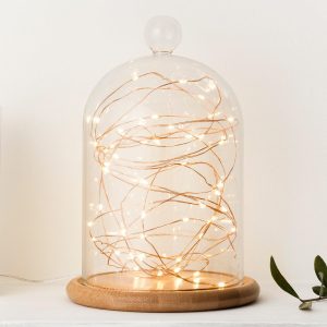 Glass Domes | Copper Glow Large Bell Jar Bundle Battery Operated Lights Battery Operated Lights