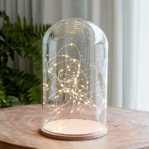 Glass Domes | Grand Minimal Dome Micro Light Bundle Battery Operated Lights Battery Operated Lights