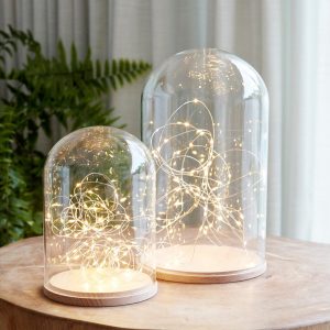 Glass Domes | Minimal Domes Micro Light Bundle Battery Operated Lights Battery Operated Lights