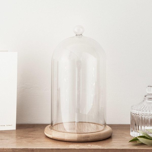 Glass Domes | Regular Glass Dome Bell Jar 20cm Indoor Glass Domes