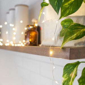 Indoor Fairy Lights | 100 Warm White LED Micro Fairy Lights Indoor Indoor Fairy Lights