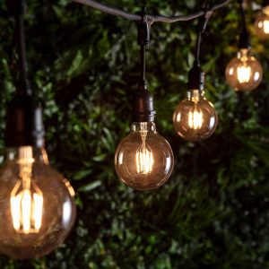 Indoor Festoon Lights | Ingenious Connect 10 Large Globe Bulb Festoon Light Bundle Indoor Indoor Festoon Lights