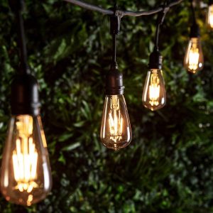 Indoor Festoon Lights | Ingenious Connect 10 Squirrel Cage Bulb Festoon Light Bundle Indoor Indoor Festoon Lights