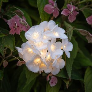 Outdoor Fairy Lights | 200 Lisse Solar USB Flower Starburst String Lights Garden Lights Garden Lights