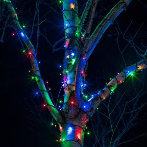 Outdoor Fairy Lights | Pro Connect 100m 1000 Multi Coloured Connectable String Lights Black Cable Lights Outdoor Fairy Lights