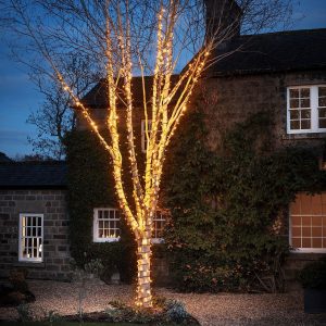 Outdoor Fairy Lights | Pro Connect 50m 500 Traditional Warm White Connectable String Lights Black Cable Lights Outdoor Fairy Lights