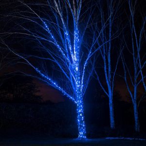 Outdoor Fairy Lights | Pro Connect 5m 50 Blue Connectable String Lights Black Cable Lights Outdoor Fairy Lights