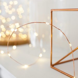 Micro Fairy Lights | 50 Warm White LED Copper Outdoor Micro Fairy Lights Battery Operated Lights Battery Operated Lights